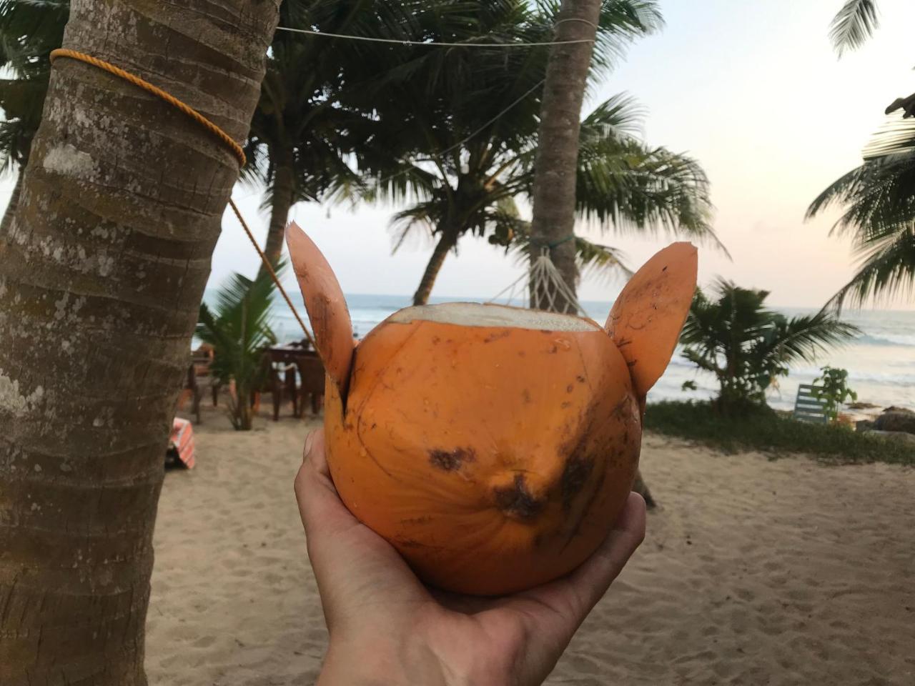 Ram'S Surfing Beach,Midigama-Est Extérieur photo